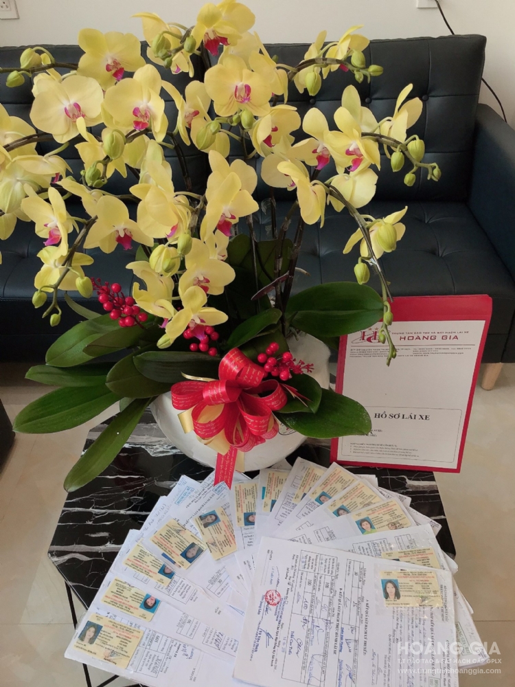 THÔNG BÁO GPLX SÁT HẠCH NGÀY 16/02/2019